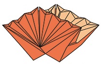 Bài 22: Mẫu gấp Con sò - Paper Folding Art: Musel